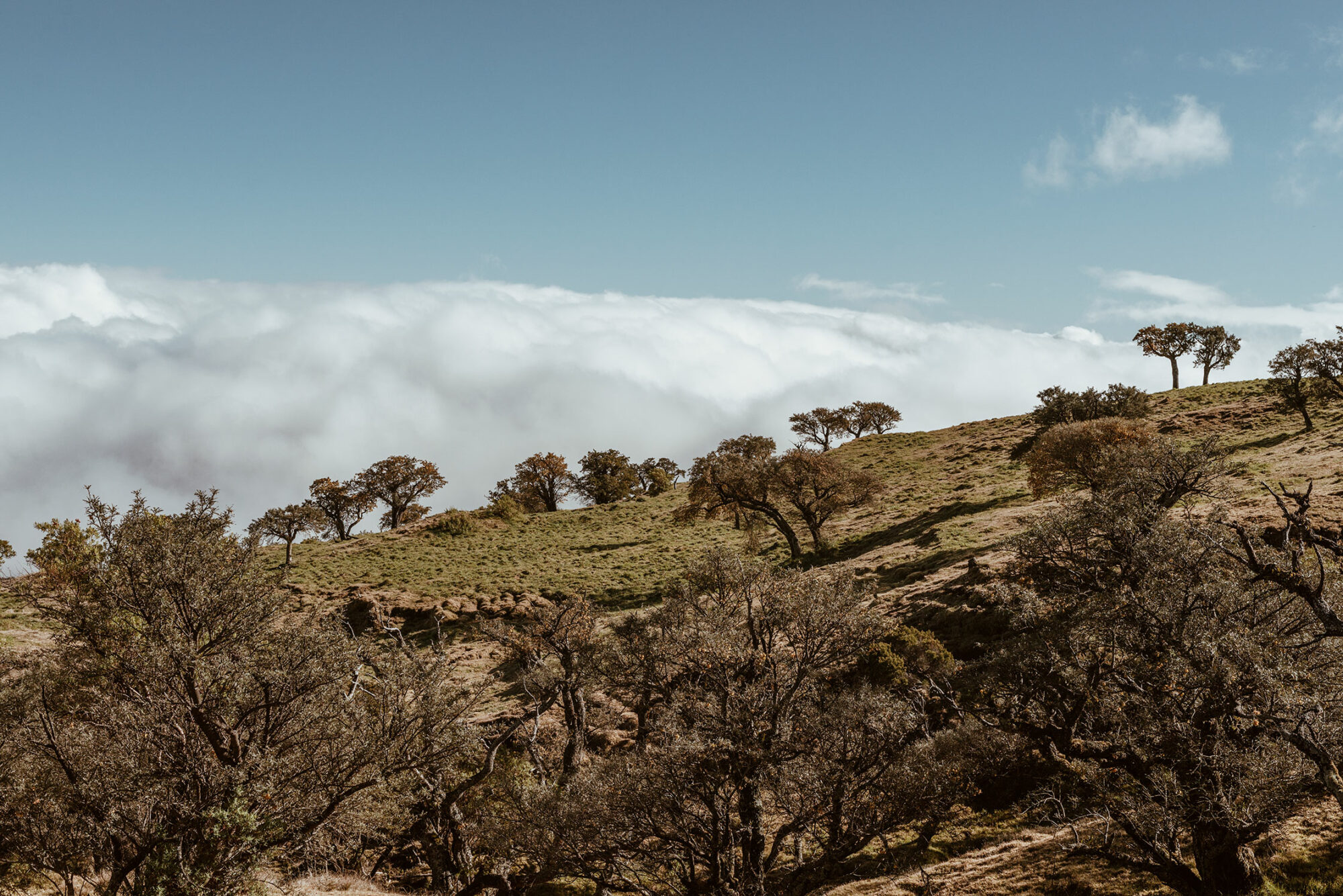Capturing the diversity of an island through flavor in the remote destination of Réunion