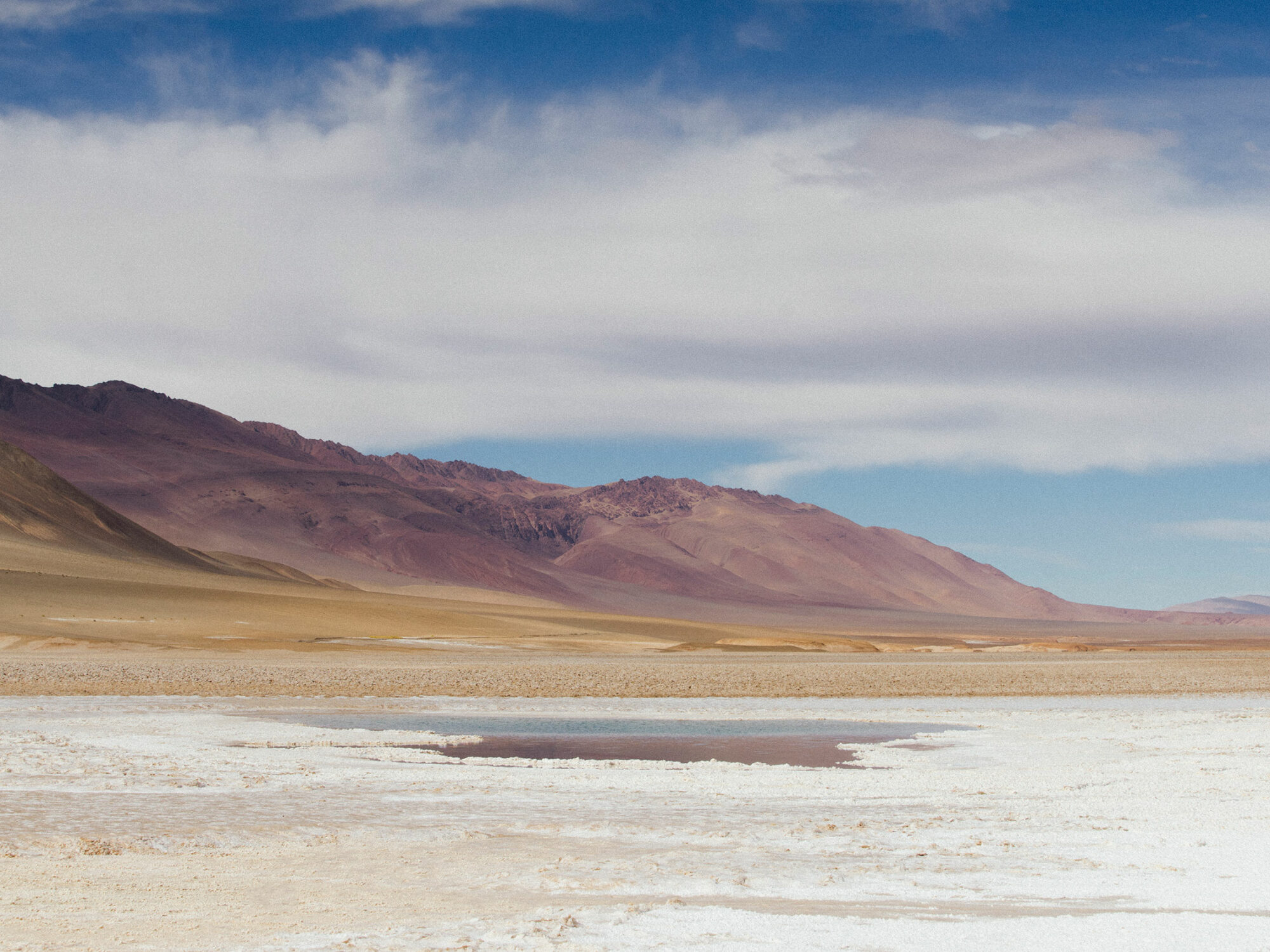 Ana Cuba captures the rural landscapes of Tolar Grande, where “nature flaunts itself so overwhelmingly”