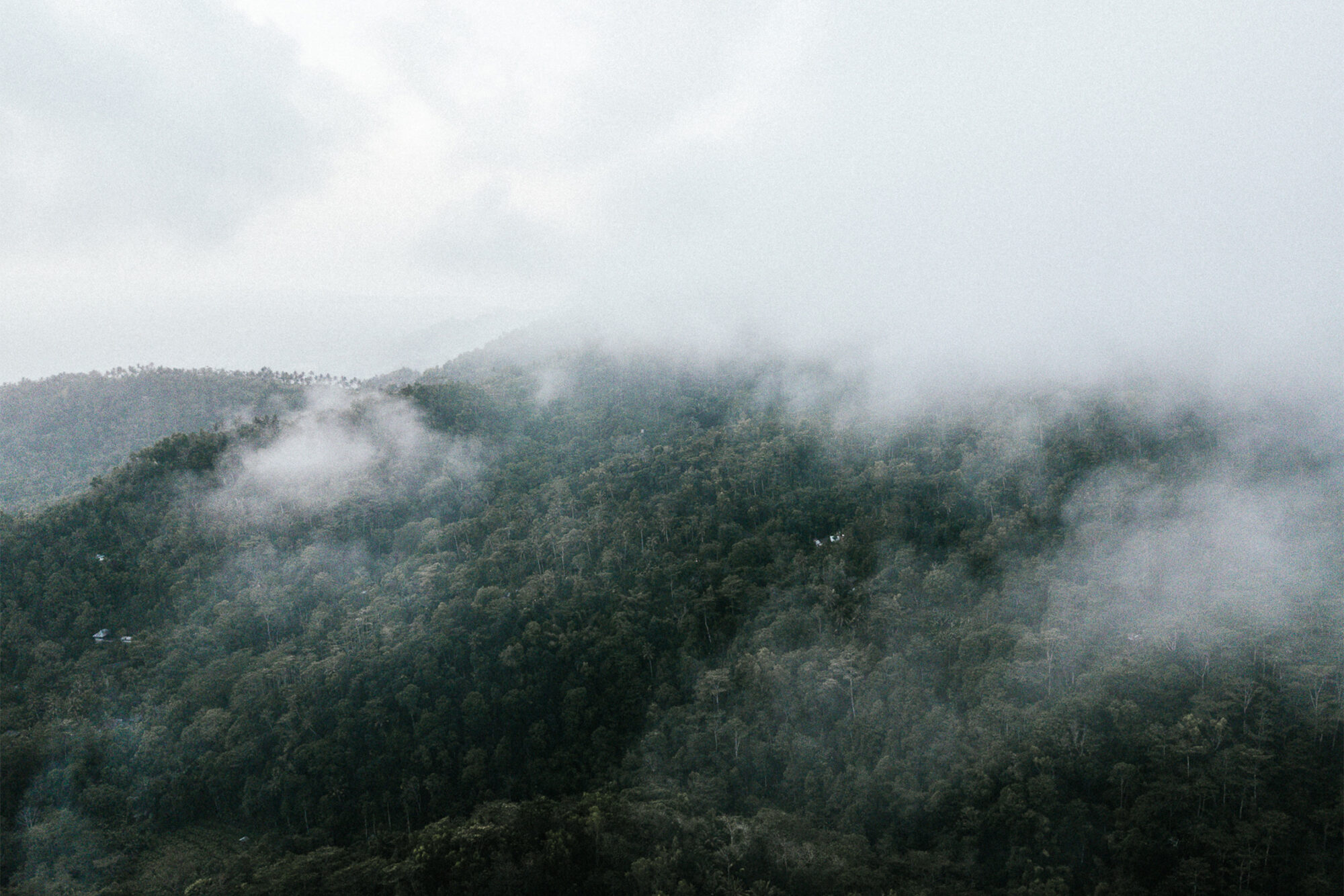 Balinese fishermen and surfboard shapers populate Chris Abatzis’ misty, dream-like photo series