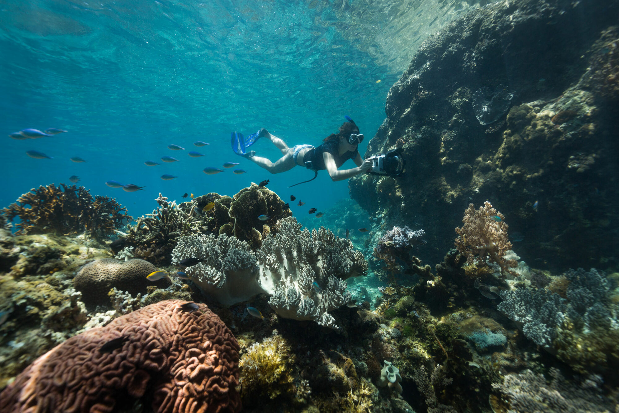 Documentary filmmaker Danielle Ryan is on a quest to help us appreciate the world’s oceans—and save them in the process
