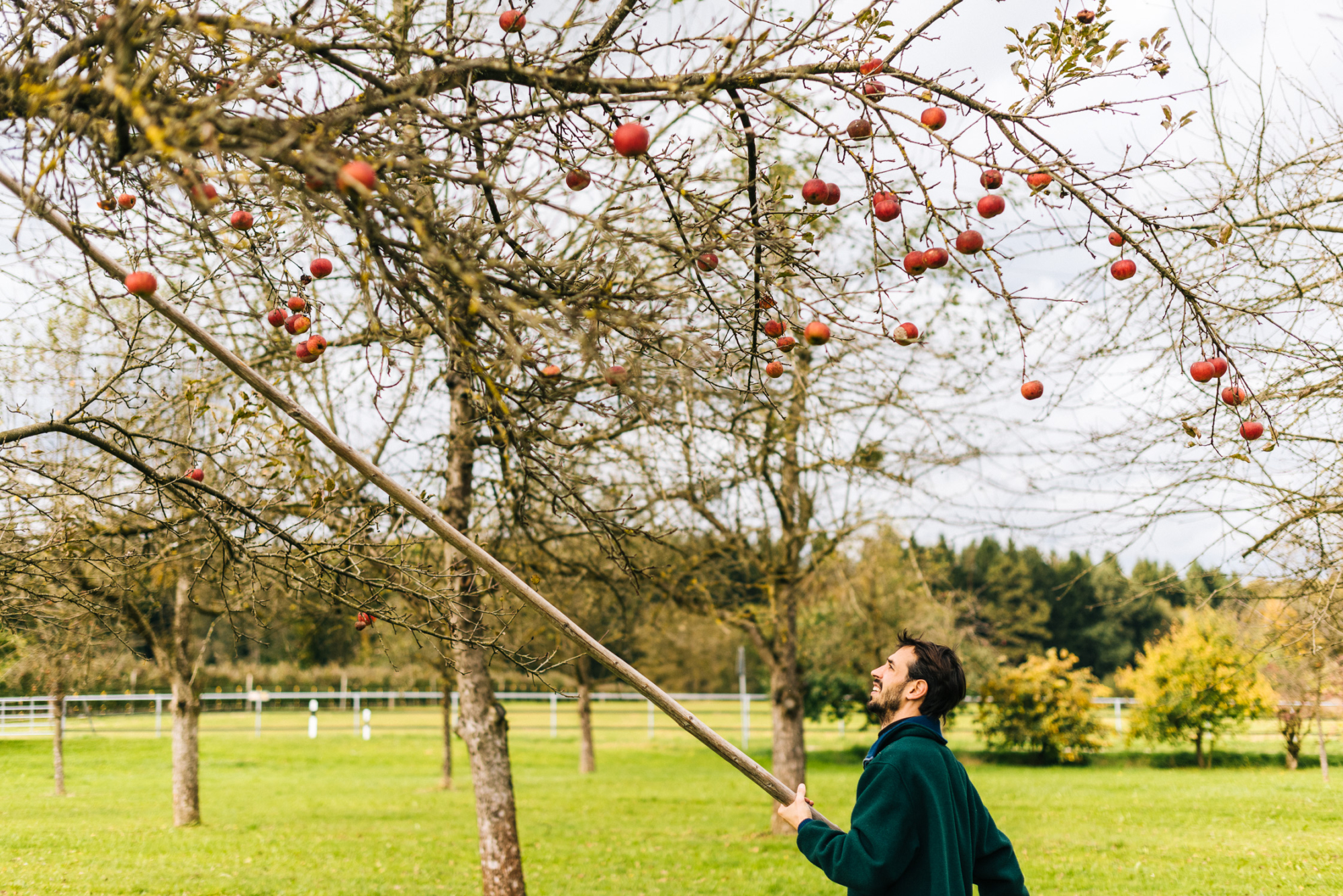 Preserving a family tradition keeps urbanite Johannes Weber grounded