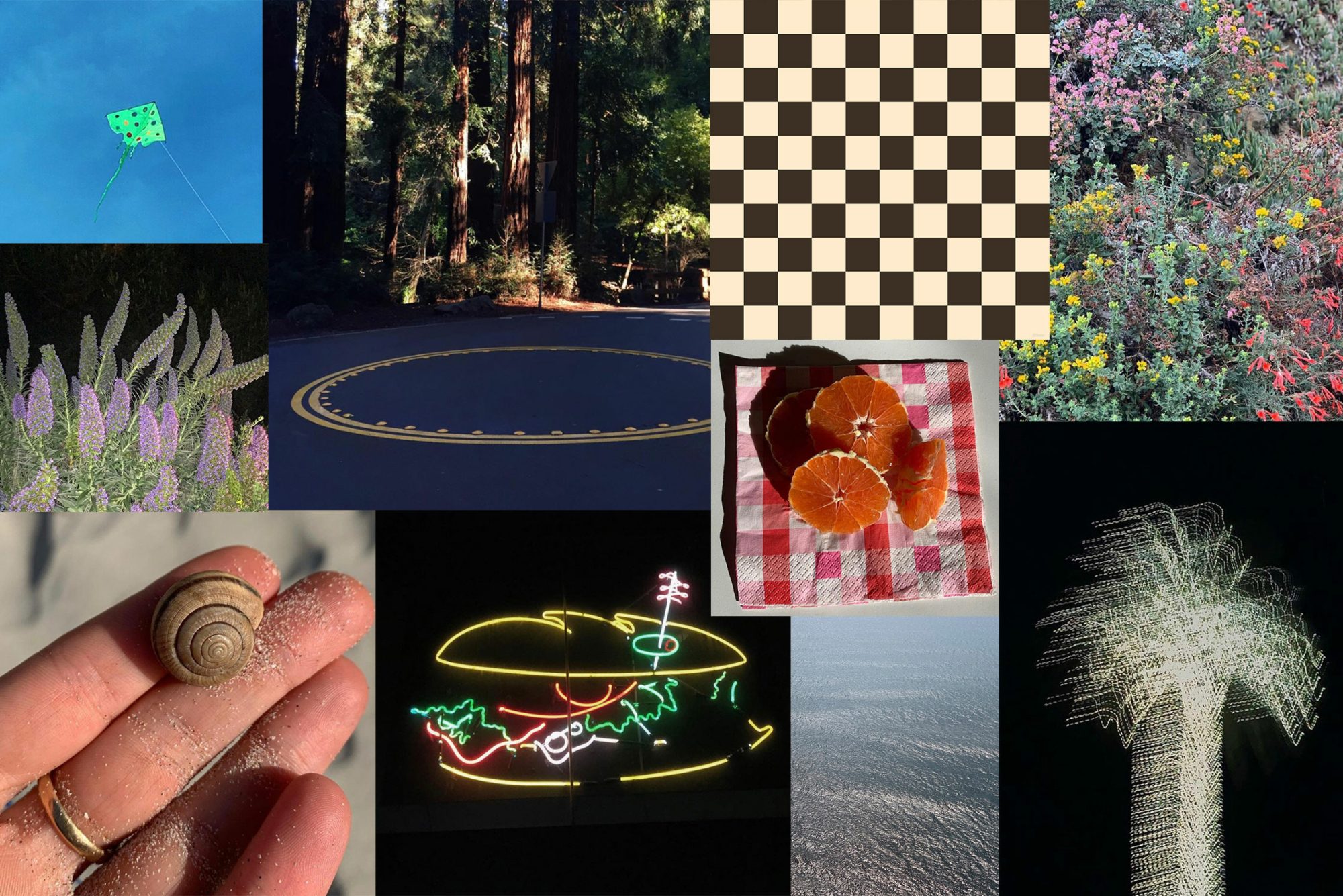 Meet the Contributors: Amelia Lang is interested in “how we understand people and places through photography and film”