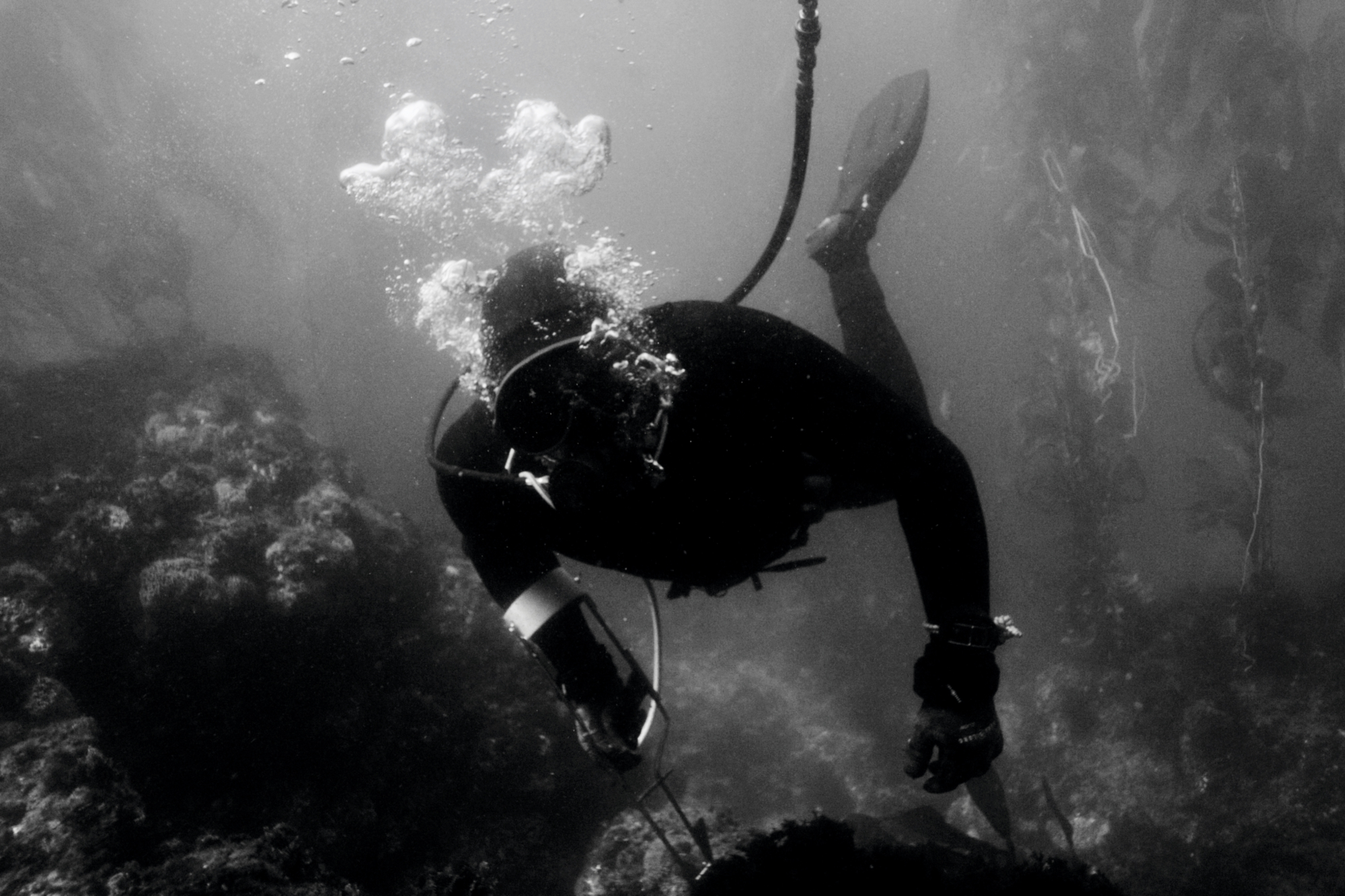 The global pandemic has propelled the fishing industry towards a more sustainable future