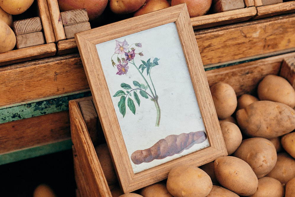 Potato aficionados Dominik Klier and Theo Lindinger share comforting Japanese stew recipe