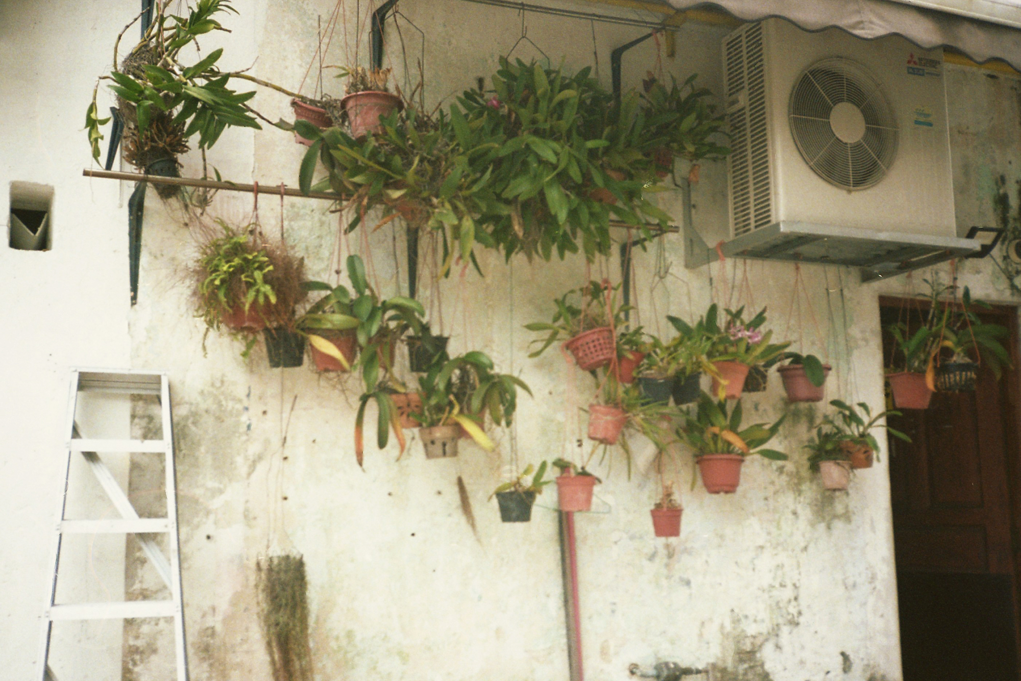 Elizabeth Gabrielle Lee places a nuanced lens on her Singaporean heritage