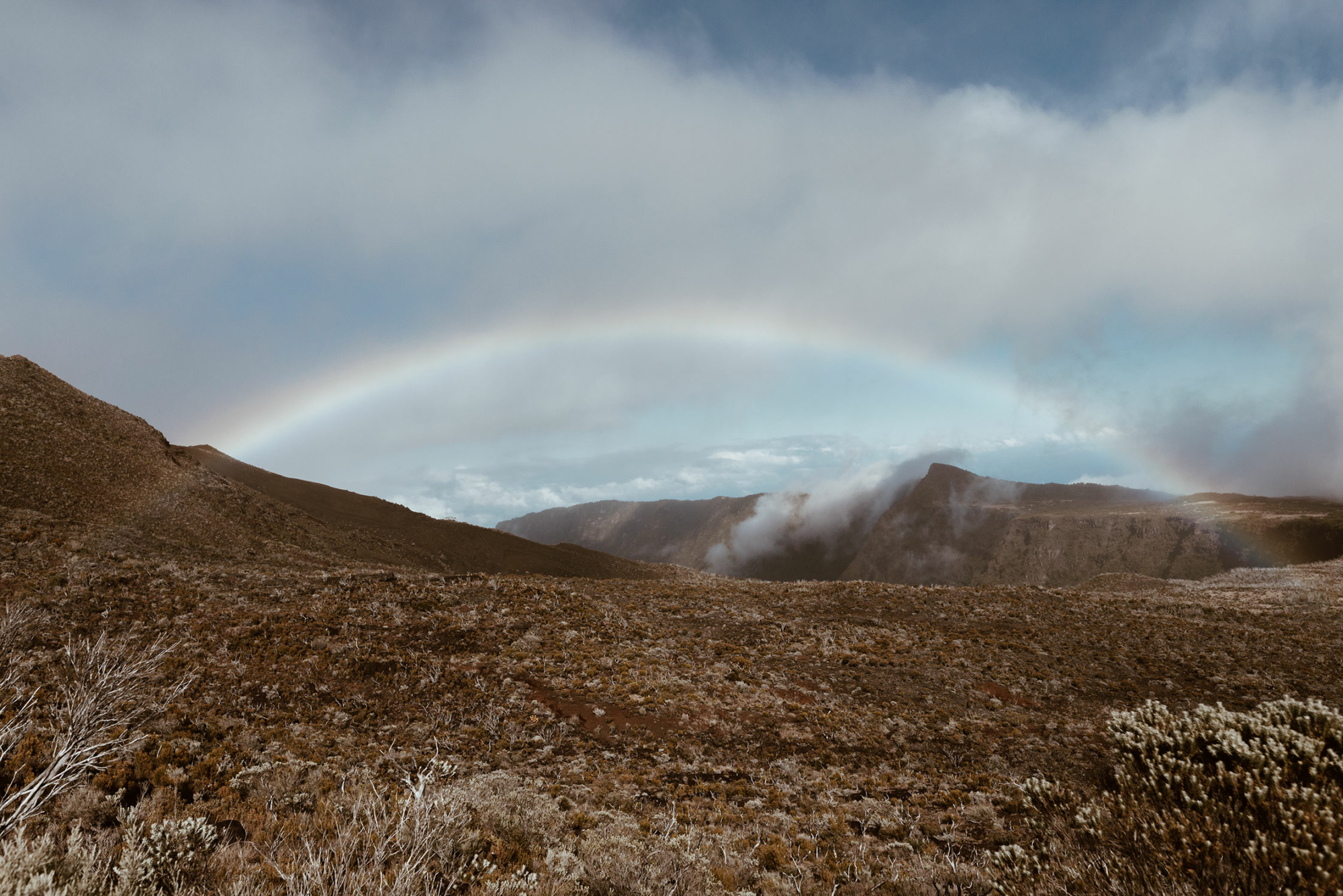 Visual Escapism for a New Reality Pt. 3: Through their eyes